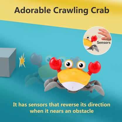 Crawling Crab Toy